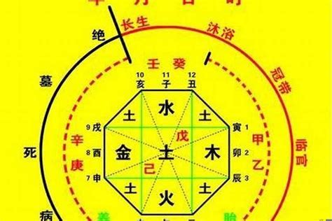 取用神|八字入门基础 第六篇 如何判断八字喜用神